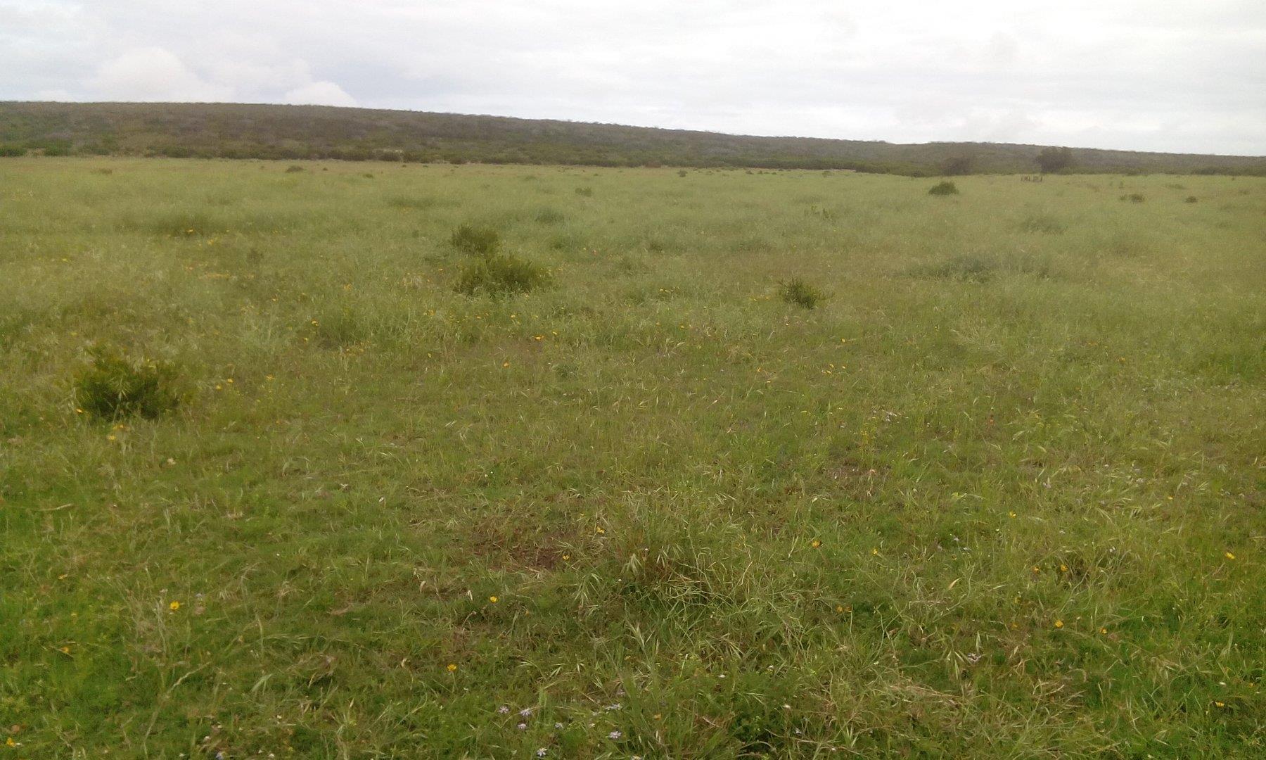 Photo of Farm for sale in Riversdale Rural