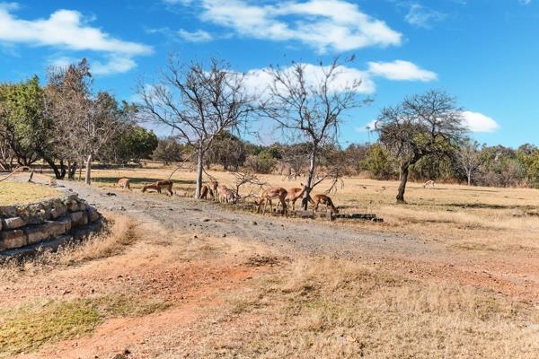 16-hectares of vacant land, up for grabs.

R2 999 999

located in the cradle moon ...