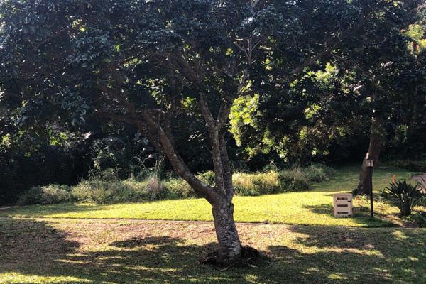 This is one of 3 remaining vacant stands in the beautiful Mbabala Lodge complex in Munster.  Purchase this plot and build your own ...