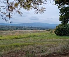 Farm for sale in Tzaneen Rural