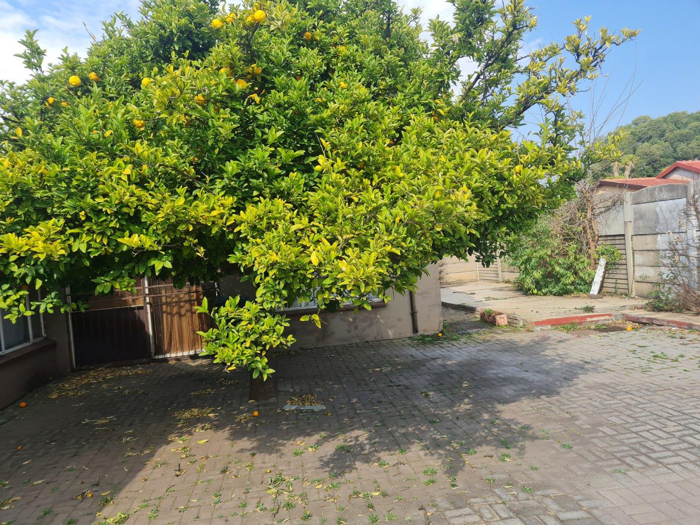 13-bedroom-house-for-sale-in-vanderbijlpark-se-7-p24-111559113