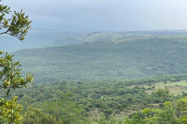 Weekend escape or business venture, this one offers it all

Well stoked game farm with an olive orchard, solar power and views that ...