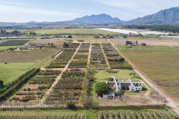 Farms For Sale In Stellenbosch Stellenbosch Property