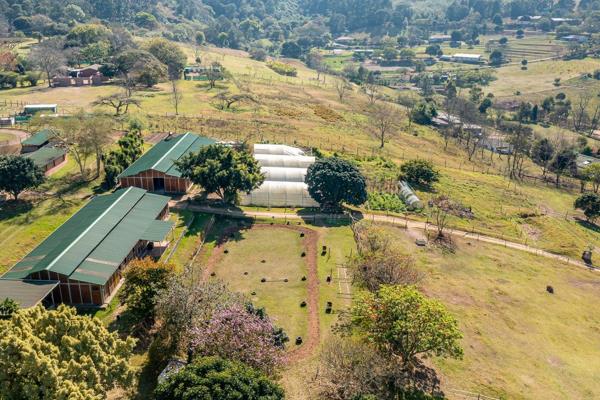 This well established riding school property is up for grabs!  Do not miss this ...