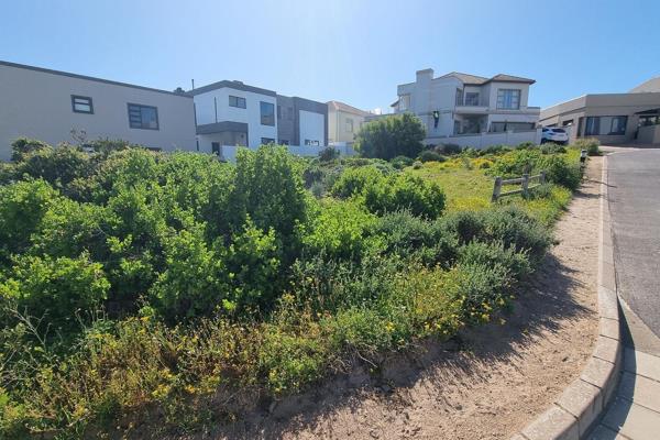 Situated in Calypso Beach Langebaan

Well positioned, one row back from the beachfront
Not many stands left in this Estate

Looking to ...