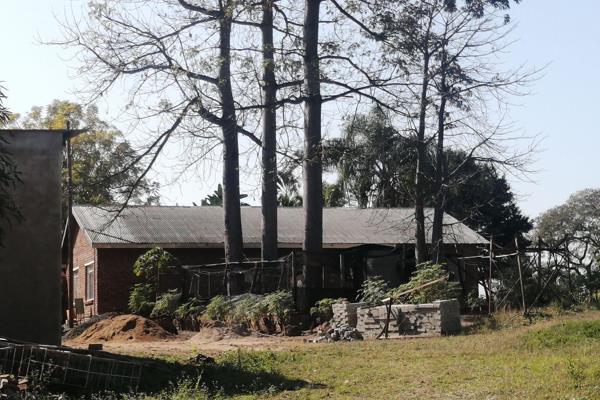 86 ha Farm located between Letsitele and Tzaneen 2kms from the main road.  The farm currently has approximately 3ha Moringa trees plus ...