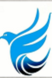 Blue Falcon Estate Agents