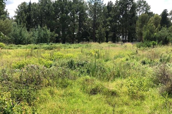 This patch of vacant land is fully proclaimed and serviced with electricity and water ...