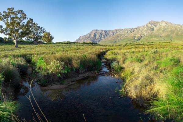 This absolutely picturesque 23 Hectare farm is situated a mere 15 minutes from the ...