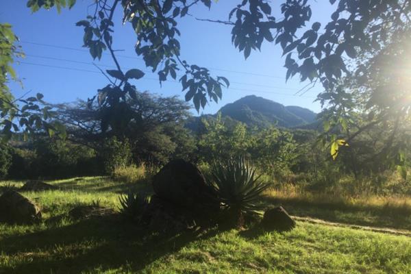 Portion 17 of farm Rietvly 295 JT in the heart of Schoemanskloof surrounded by orchards ...