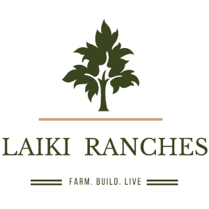 Agency profile logo