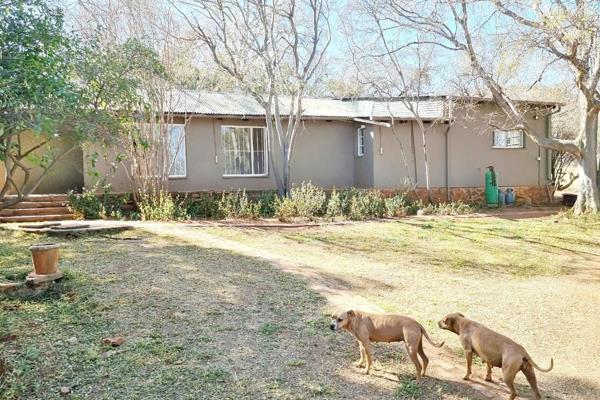 This 43ha farm situated in Schurveberg, Broederstroom.  Easily accessible towards ...