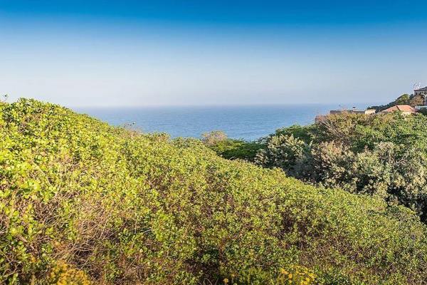 &quot;Along KwaZulu-Natal&#39;s North Coast lies an exquisite piece of hidden property. Montcalm Oceanside Estate is a secure and ...