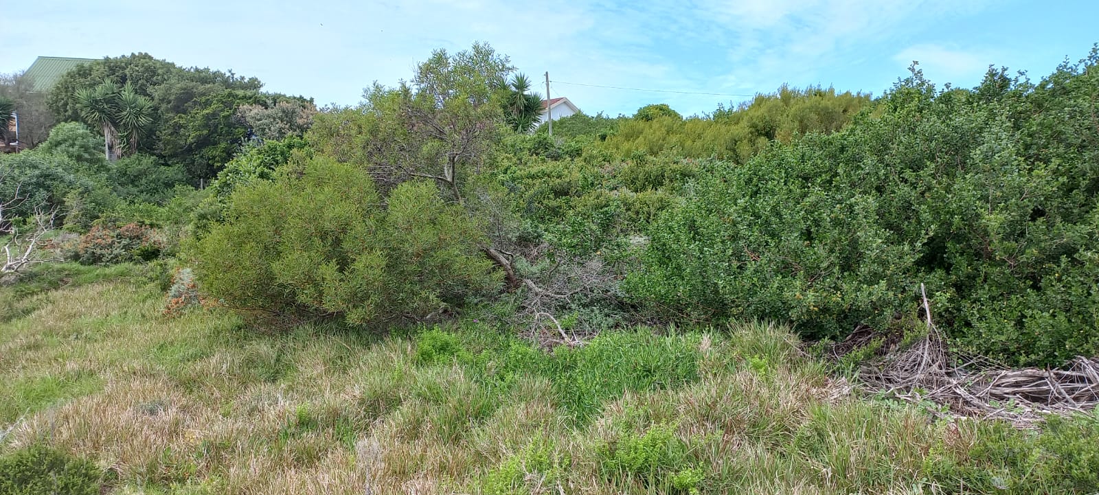 Vacant land / plot for sale in Paradise Beach P24111803759