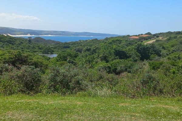 Spoilt for choice!
Set in heart of nature, in quiet cul de sac, this stunning plot captures views over the dam / ocean views as well as ...