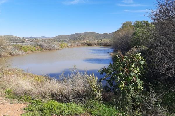 74 Ha irrigated lands with servitude water. There are two rivers running through the farm.  Currently growing on the farm is vegetable ...