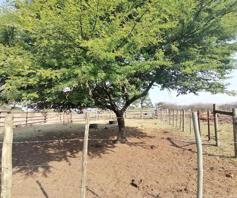 Vacant Land / Plot for sale in Polokwane Rural