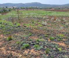 Vacant Land / Plot for sale in Elandsfontein AH