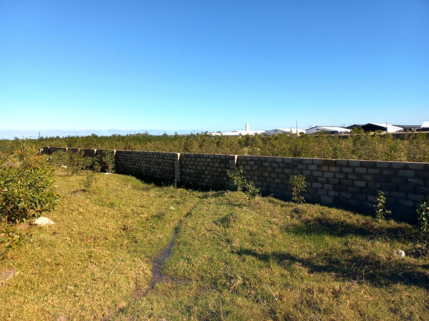 Vacant land / plots for sale in Port Elizabeth Port Elizabeth