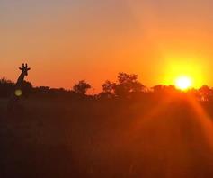 Farm for sale in Grietjie Private Nature Reserve