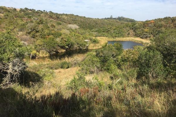 An excellent opportunity exists to purchase this prime lush bushland with a continuous abundance of water in the malaria free area of ...