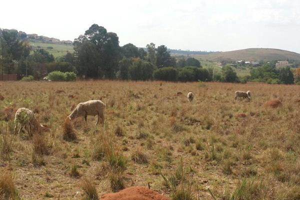 This plot is situated close to town and is ideal for planting vegetables or gass as fodder for animals.
It is fitted with a borehole ...