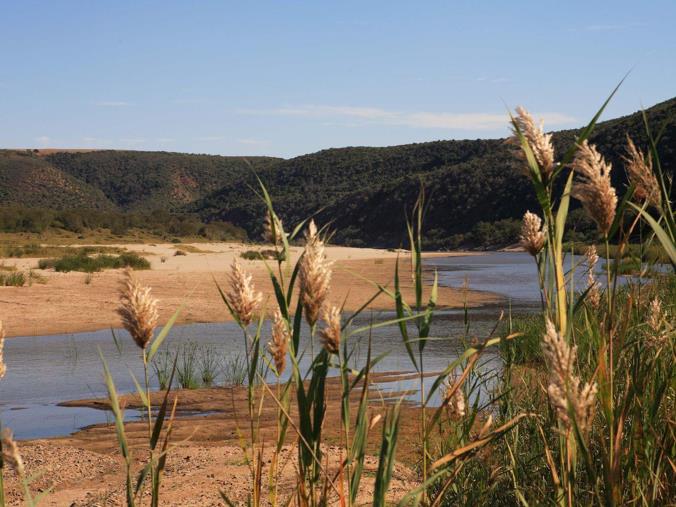 Farm for Sale in Herbertsdale