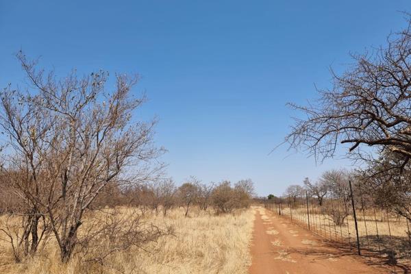 This well-laid-out piece of bushveld is situated in Tolwe, close to the new RDP section.  The 11 hectares are properly fenced in and ...