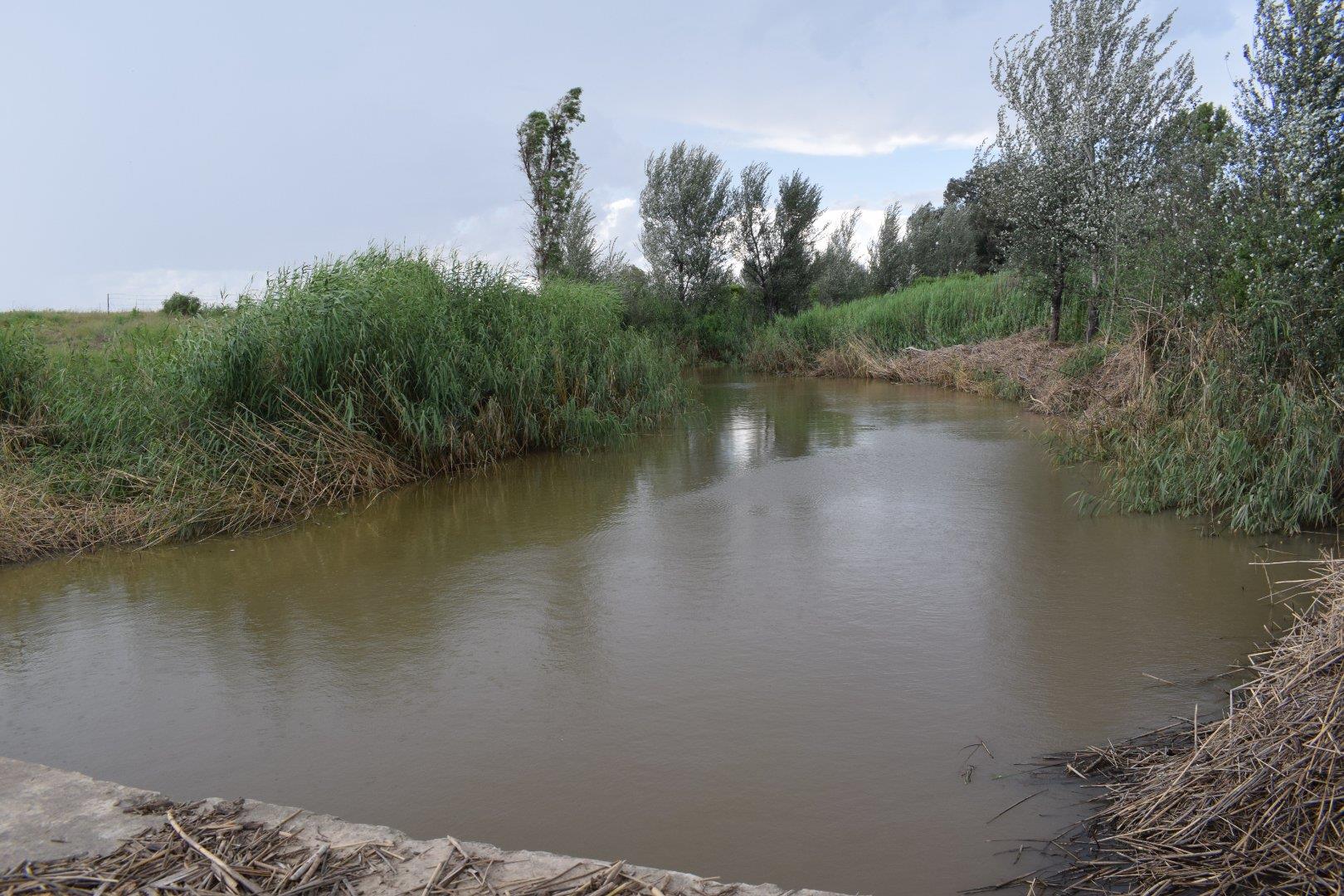 Property for sale in Free State Farms for sale in Free State