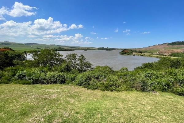 PICTURE PERFECT VIEWS - TREASURED LOCATION ON THE DUDLEY PRINGLE DAM

Beautiful Eagle ...