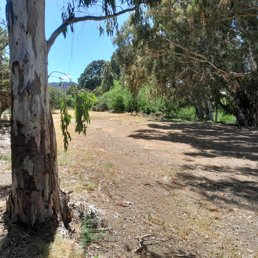 Vacant land / plot for sale in Montagu P24112098070