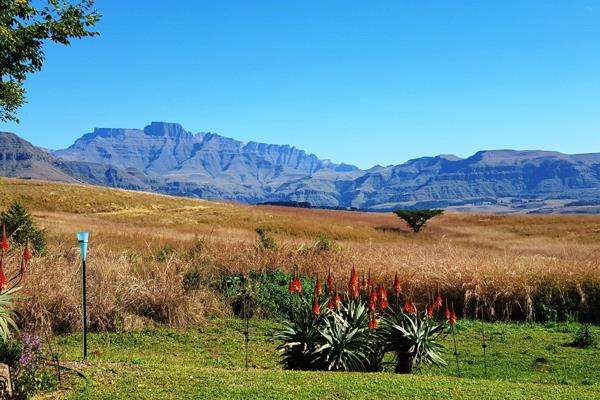 The development consists of 5 Villages, set on 1,054 hectares in Champagne Valley, nestling up against the Okhahlamba Drakensberg Park ...