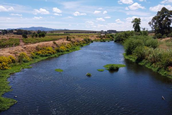 The farm (16.6728 ha) is situated between Wellington and Paarl off the R45 and bordering the Berg River. The farm overlooks the Paarl ...