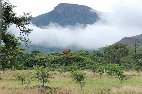 Welcome to Samango Estate! 
Escape the hustle and bustle of city life and immerse yourself in the tranquillity of nature at Samango ...