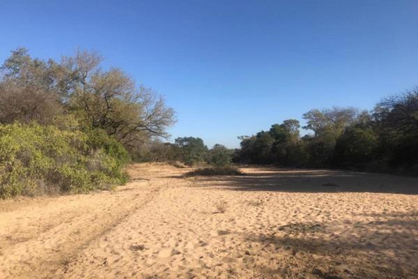 Lovely river stand with lowveld bush throughout the stand. Build your dream house on the ...