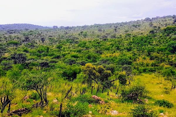 Peace and Tranquillity! Priced to Go! Lebowakgomo

This strategically located beautiful 1 ha Vacant Land is surrounded by beautiful ...