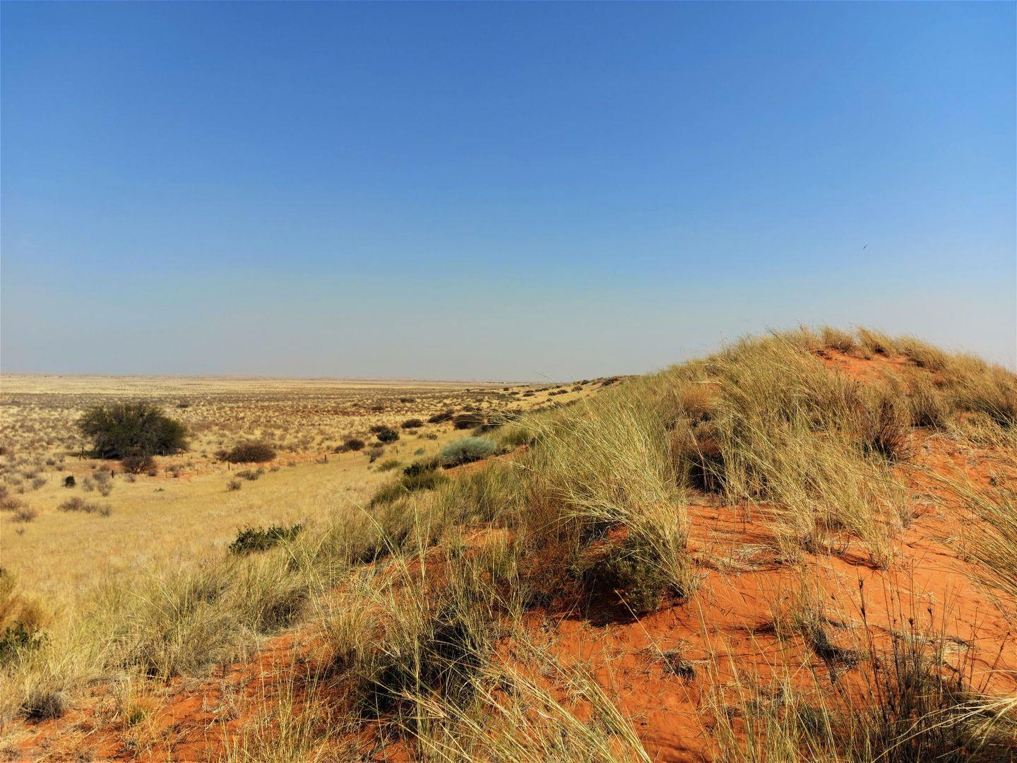Property for sale in Northern Cape Farms for sale in Northern Cape