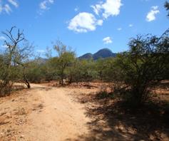 Vacant Land / Plot for sale in Canyon Game Reserve