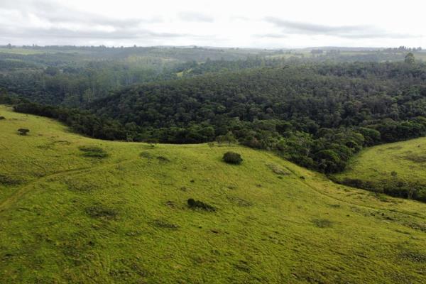 This large farm is currently undeveloped but could easily be cleared and used for a ...