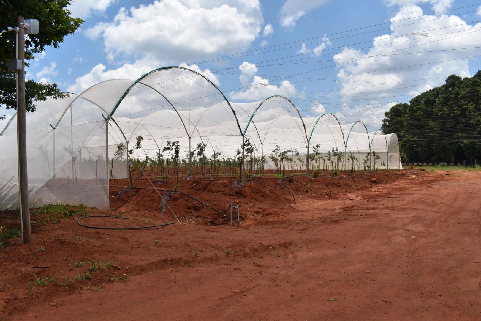 Property and houses for sale in Belfast Belfast Property Property24