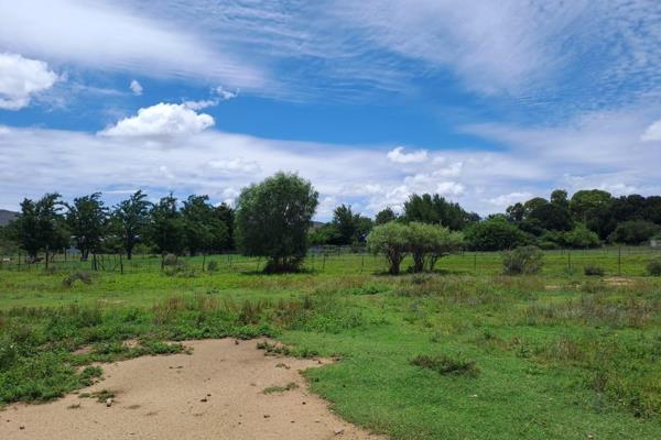 These properties consists of the following:

Planted Lusern  and 120 Amendment Trees.

1.4m fencing.

5 Boreholes of which 3 are ...