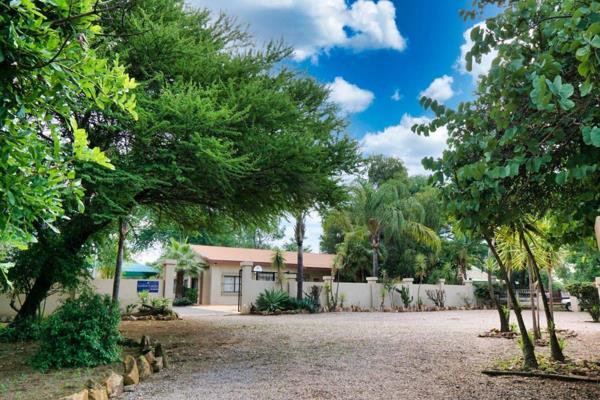 This amazing running business (Bed and Breakfast) is up for grabs in the idyllic little town of Rooiberg.  All furniture ...