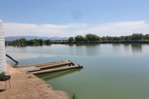 Hierdie plaas is geskik vir graan-, katoen- en groente verbouiing.
122 ha waterregte geregistreer onder die Koedoeskop ...