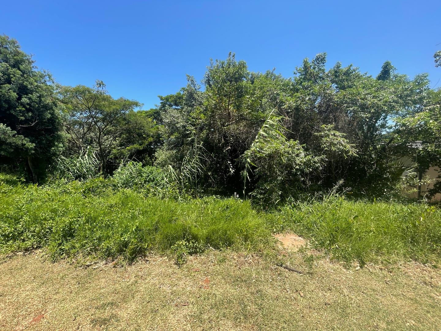 Vacant land / plot for sale in Zini River Estate P24108562843