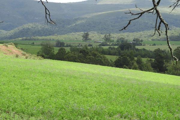 Situated between Knysna and Sedgefield on the Garden Route with stunning backdrop of the Outeniqua Mountain range. This farm is well ...