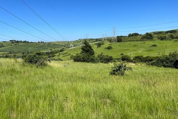 Vacant land, zoned Agriculture, for sale on the MR385 road in Hammersdale. This Outer West node (Cato Ridge &amp; Hammarsdale) has been ...