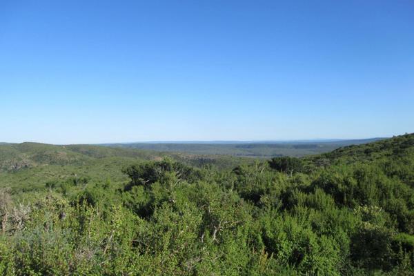 A 480ha Game Farm situated 22km from Grahamstown. The property is game-fenced and consists of typical Fish River Valley Thicket with ...