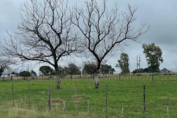 An eleven hectare dairy farm is for sale in Pretoria North, Onderstepoort. Are you a dairy farmer or have aspirations of becoming one? ...