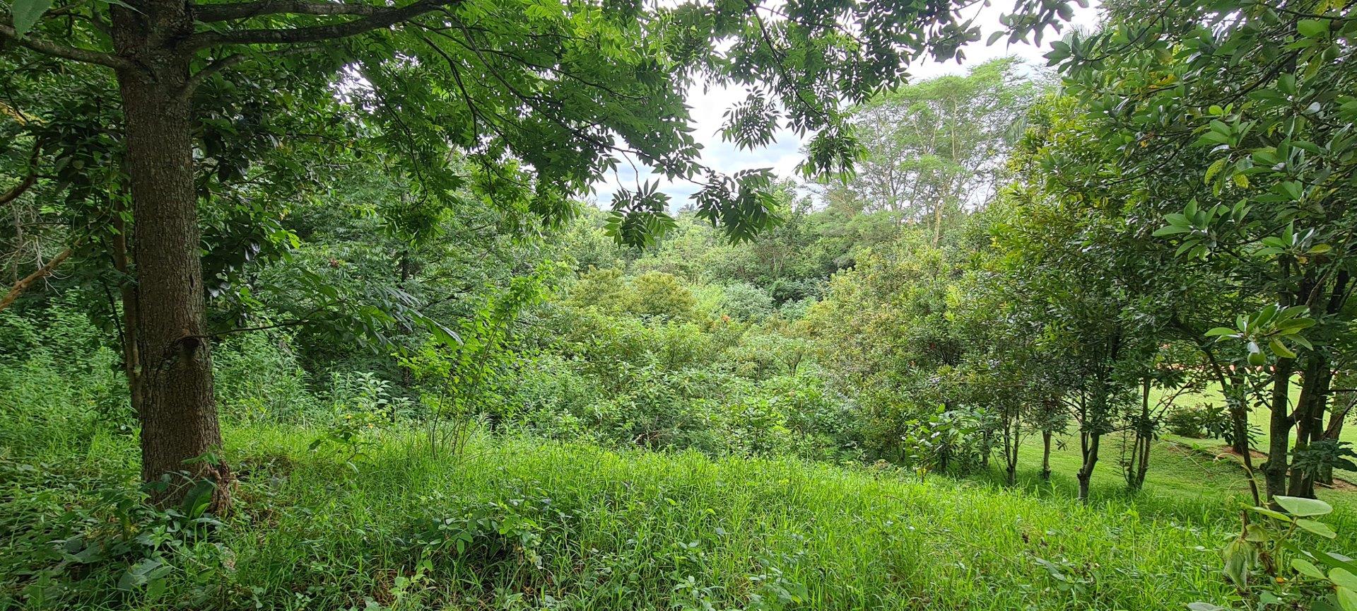 White River Country Estate Property Property and houses for sale in