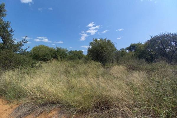 Get your own piece of Bushveld piece and quite. 
Grootfontein small holding for sale. Situated 5km out of town. The whole 4.8ha is ...
